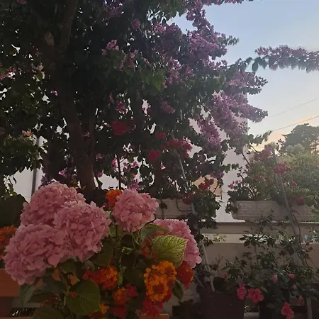 With Parking Space Palit, Rab - 14610 Apartman *